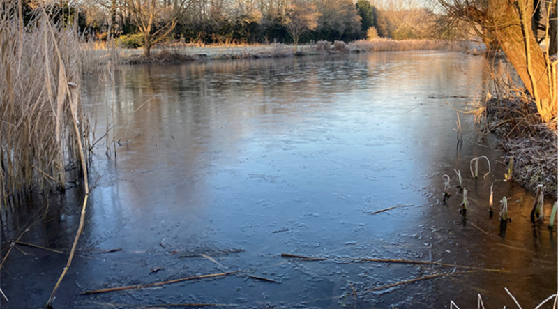 Image of the local nature reserve - Madebrook Pools and Stirchley Dingle.