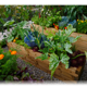 Allotments New