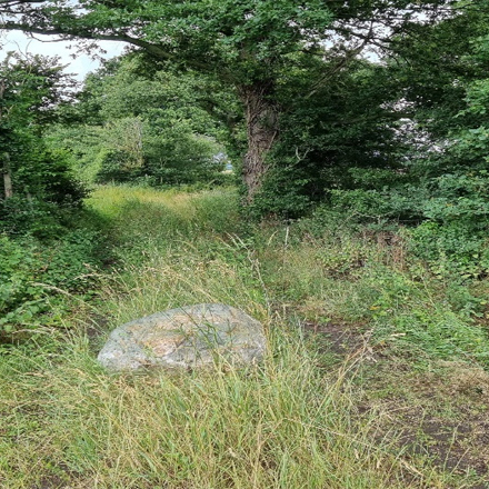 A photograph of Extensive Clearance of Restricted By-Way 13A in Chetwynd