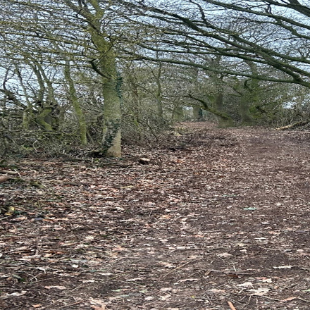 A photograph of the exterior of Extensive Clearance of Restricted By-Way 13A in Chetwynd