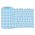 Bubble Wrap Packaging