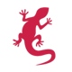 Newt 1