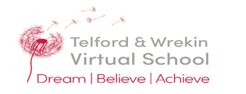 A picture of the virtual schools logo