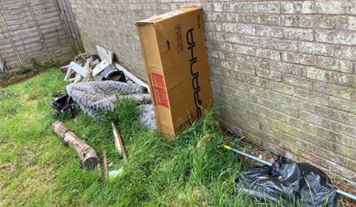 Tree waste fly tip