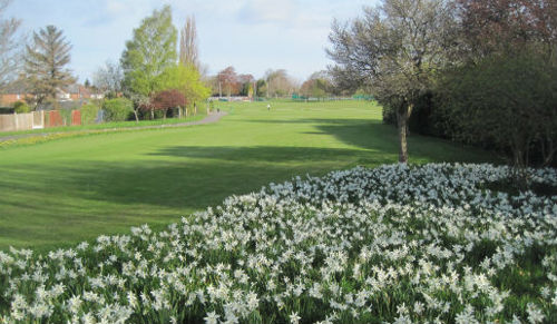 bowring park
