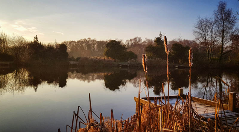Dawley Pools And Pit Mounds 1 Dawley Pools And Pit Mounds 1