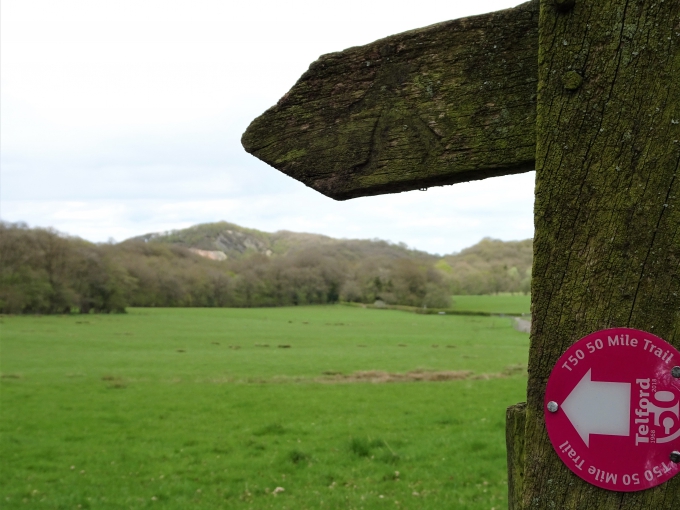 View Of The Ercall From Wenlocks Wood