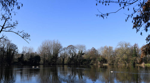 Image of Dothill nature reserve