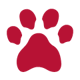 Paw1 01