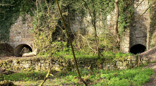 Image of the local nature reserve - Limekiln Woods.