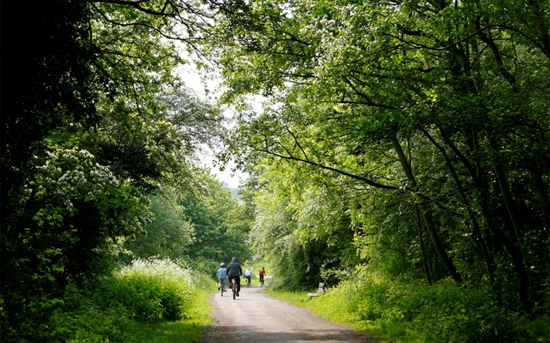 Training And Well Being Support Dm