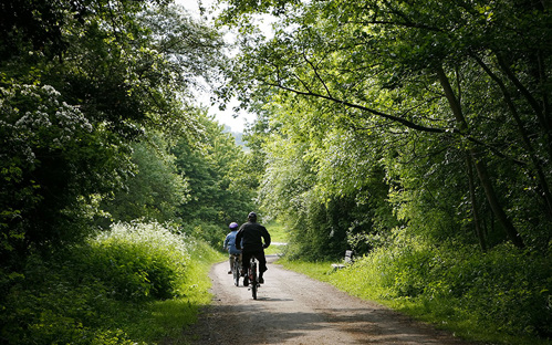 A photo showing cyclists riding through a wooded area in Telford Town Park