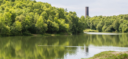 Picture of the lake at Telford Town Park