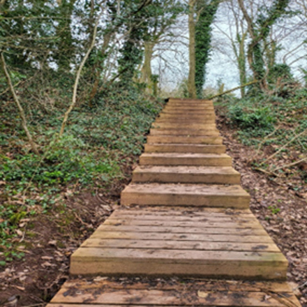 A photograph of Limekiln Woods Steps, Lilleshall