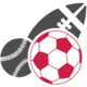 Sports Ball Icon