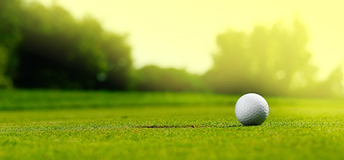 Picture of a golf ball on the ground at a golf course on a sunny day