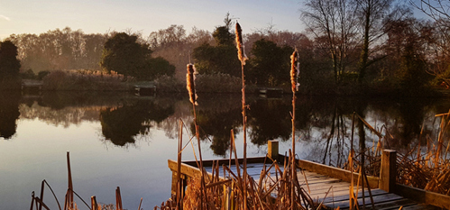 A picture at dusk of Dawley pool and pit mounds