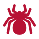 Spider 01