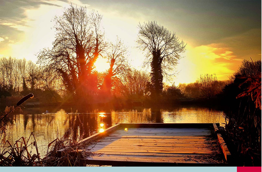 Serene sunset over a lake with golden light reflecting on calm water, leafless trees silhouetted against the sky, and a wooden dock in the foreground surrounded by reeds.