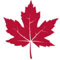 Leaves Icon