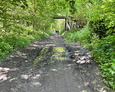 A photo showing the Severn Valley pathway prior to works