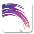 Culturezone Logo 1