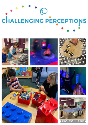 Challenging perceptions activities