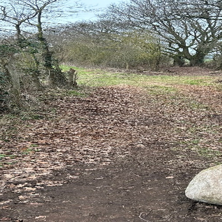 A photograph of Extensive Clearance of Restricted By-Way 13A in Chetwynd