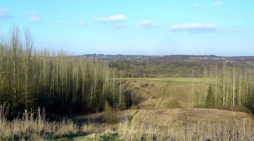 Image of the local nature reserve - Rough Park.