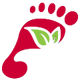Foot