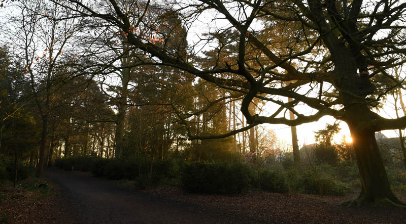 Apley Woods 1 Apley Woods 1