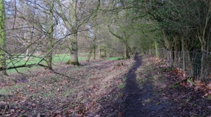 Alongside The Disused Trench Branch Of The Shropshire Union Canal Near To The Lilleshall Incline