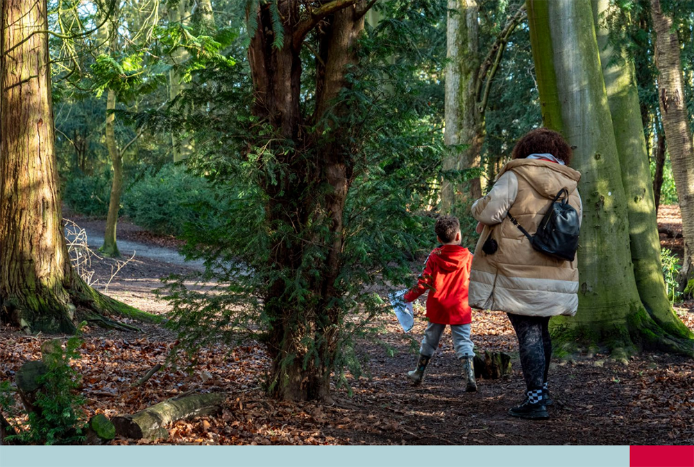 Two people walking through a forested area, surrounded by tall trees and autumn leaves, one carrying a backpack and the other holding a map.