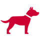 Dog 1