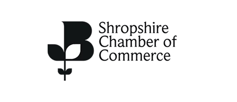 The British Chambers of Commerce logo