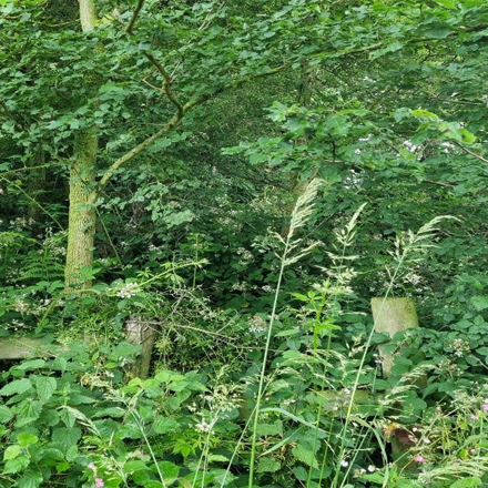 A photograph of Extensive Clearance of Restricted By-Way 13A in Chetwynd e