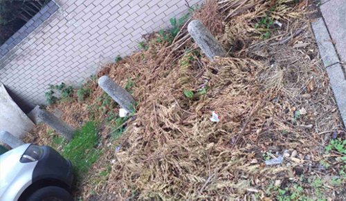Image of the stone row fly tip