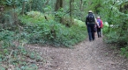 Along the edge of Ercall Wood