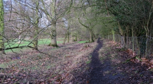 Alongside the disused Trench branch of the Shropshire Union canal near to the Lilleshall Incline