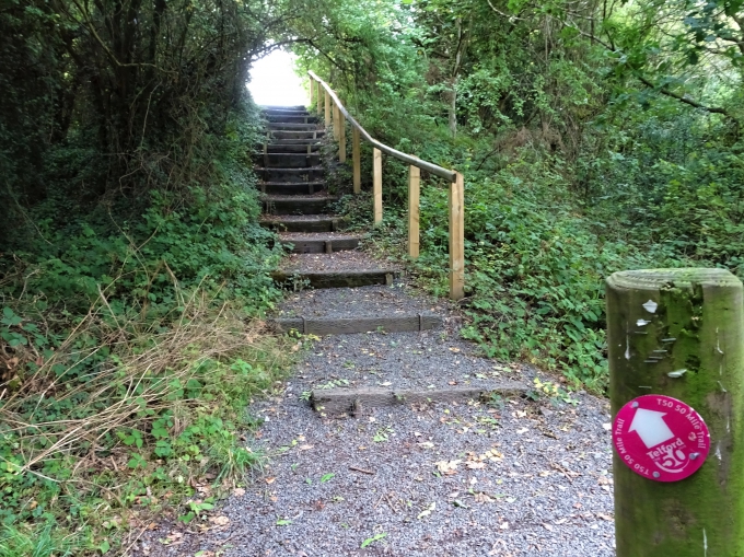 Steps up Paddock Mound