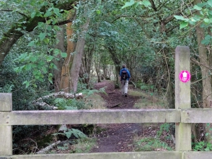 Former tramway linking limestone workings in Short Wood with kilns near Steeraway